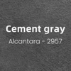 Cement gray