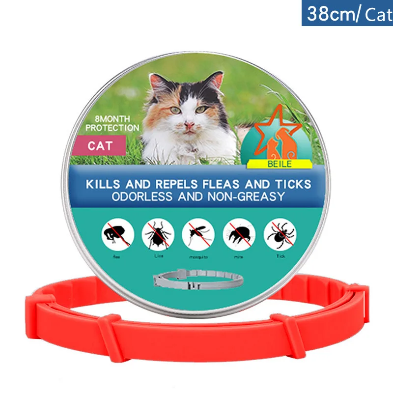 Cat-38cm Box R