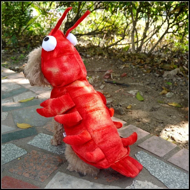 Halloween dog clothes lobster costume cat role play Christmas suit dog dance pet costume dog accessories Puppy summer clothes 2