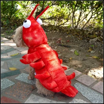 Halloween dog clothes lobster costume cat role play Christmas suit dog dance pet costume dog accessories Puppy summer clothes 2