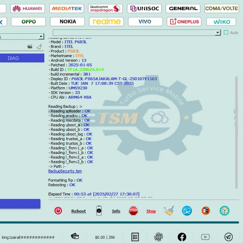 TSM PRO EDITION TSM TOOL PRO 1일 온라인 EDL FRP KG MDM 제거 및 SN 변경 플래시 도구