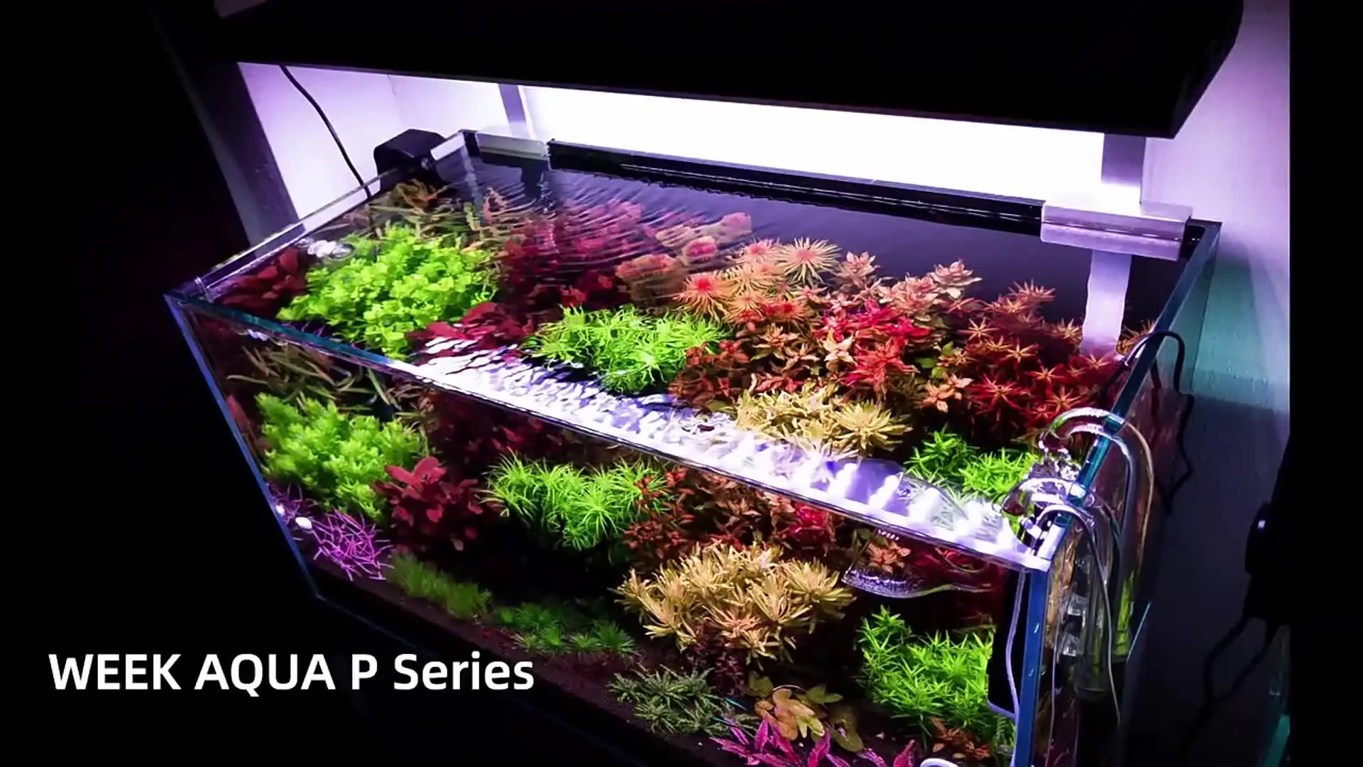 Week Aqua P600/P900/P1200 PRO 水草育成ランプ 水生植物育成ライト