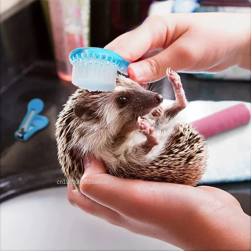 Pet Grooming Comb for Small Animals