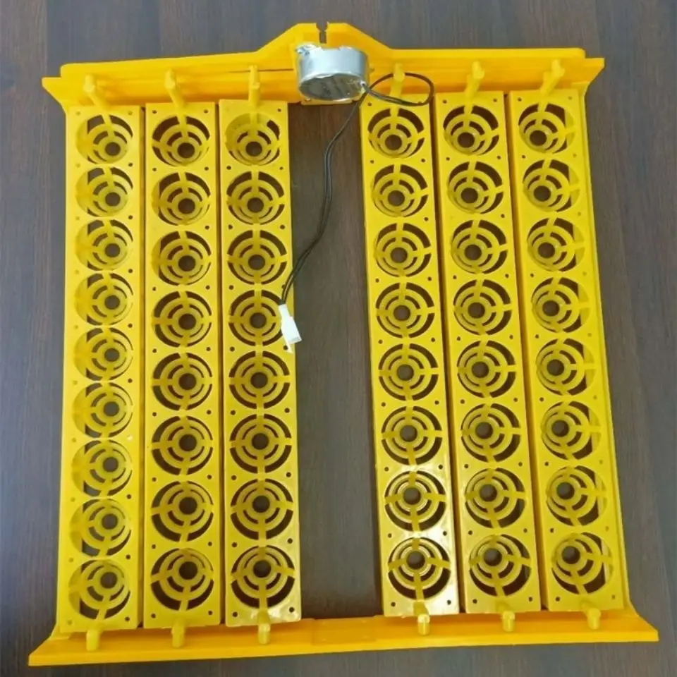   ڵ   Ʈ, 12 ̴ ť, 36 , 48 , 56