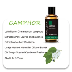 MAYJAM Essential Oils - Aromatic Bliss Collection: Lavender, Jasmine, Eucalyptus, Ylang Ylang, Vanilla, and Tea Tree - 10ml (Camphor Oil)