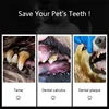 Pets Teeth Cleaning Tools Double Sided Dogs Cats Tartar Remover Dental Stones Toothbrush Stainless Steel Scraper Pet Supplies 5