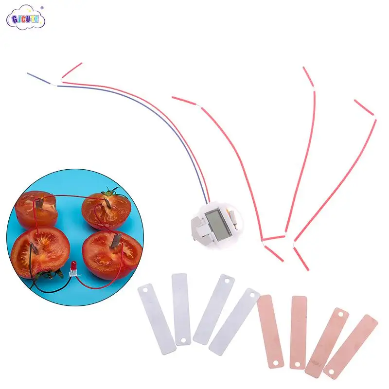 Детский набор для научной био-энергетики, эксперименты с электроэнергией и фруктами для картофеля, Детская развивающая игрушка для обучения Детский набор для научной био-энергетики, эксперименты с электроэнергией и фруктами для картофеля, Детская развивающая игрушка для обучения