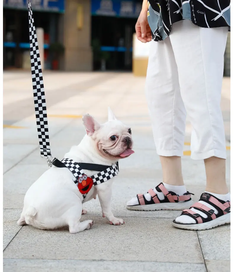 Are Ropes Harness Bad For Dogs