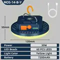 Blue-MOS-14-Warm