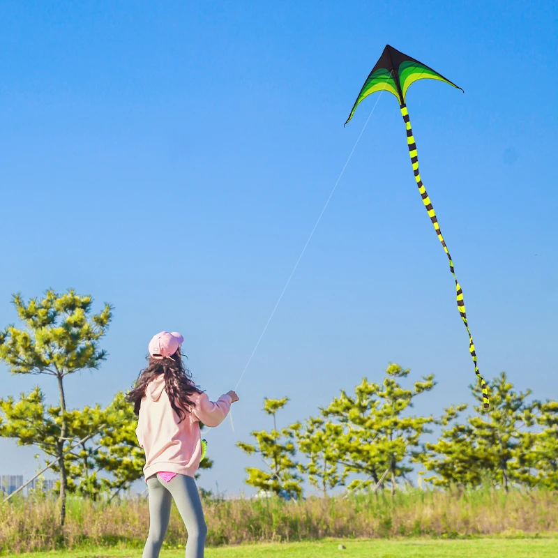 YongJian Large Delta Kite for Kids & Adults Easy to Fly Large Huge Delta Kite Come with 6m Tail Easy to Fly Kite Outdoor Toy 2