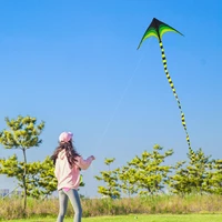 YongJian Large Delta Kite for Kids & Adults Easy to Fly Large Huge Delta Kite Come with 6m Tail Easy to Fly Kite Outdoor Toy 2