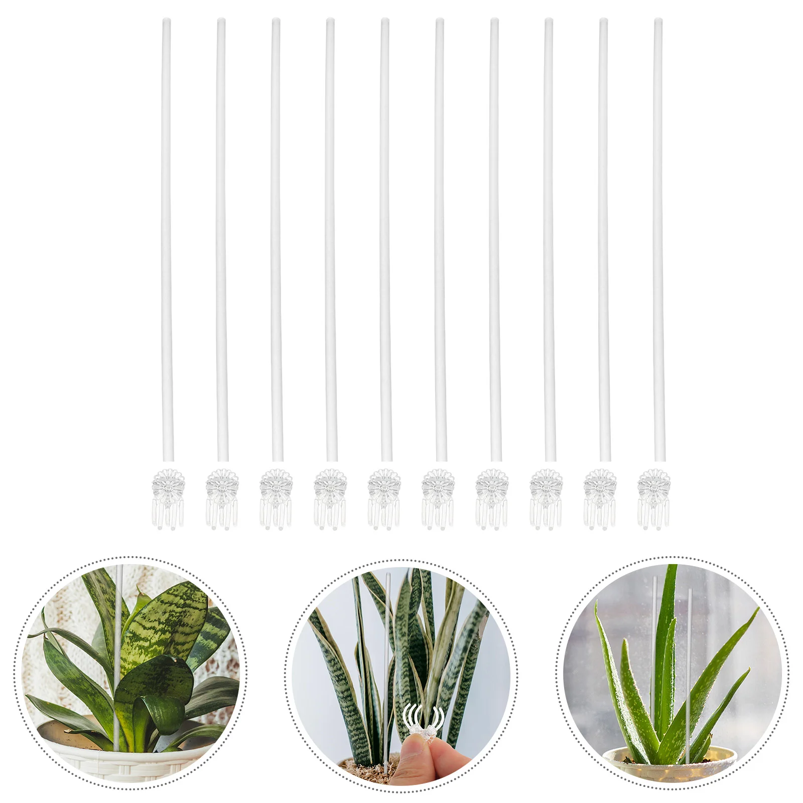 

1 Set of Acrylic Plant Support Plant Stakes Straight Plant Scaffolds Flower Supports Pole with Orchid Clips