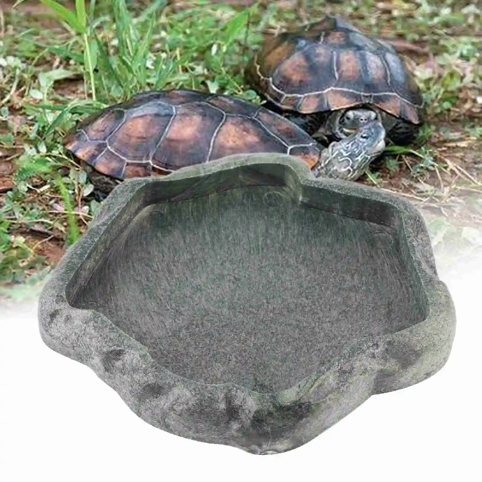 ABS Resin Reptile Rock Food and Water Dish Feeder Bowl for Tortoise Lizard Lizard Feeder Reptile Bowl Reptile Feeder