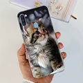 Case-c74