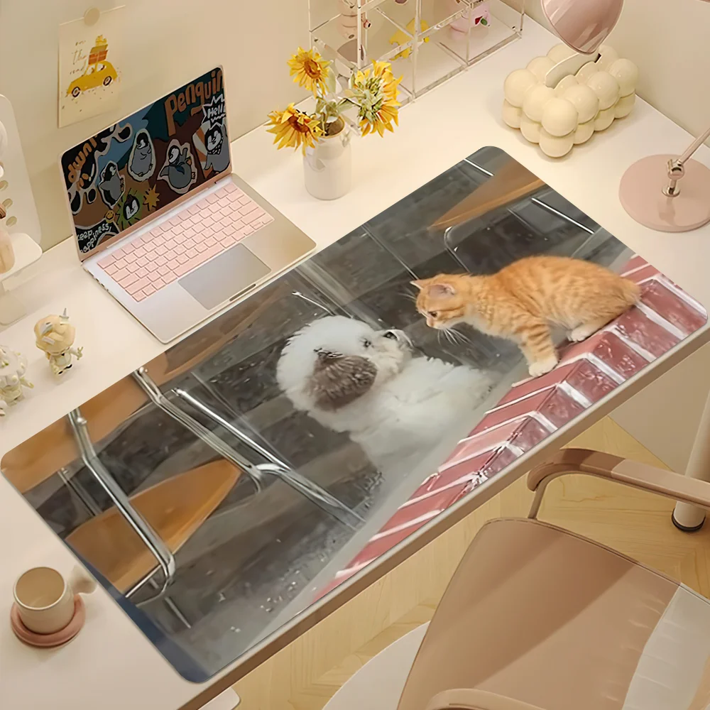 Lustiges, schielendes Katzen-Meme Z-Zazu Halloween Mauspad Schreibtischunterlage Groß Rutschfest Ausfransenbeständig Ergonomische Tastaturunterlage Gummi PC Büro Zuhause Individuell – Detail 8