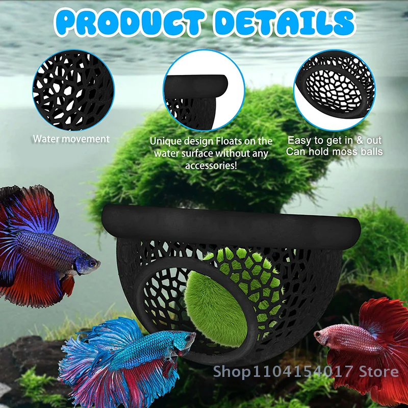 Betta Fish Floating: A Comprehensive Guide to the Best Floating Betta ...