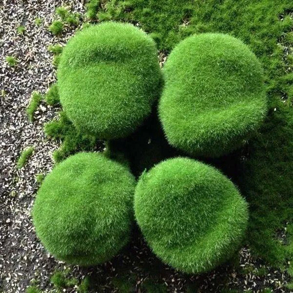 10PCS Artificial Moss Rocks Decorative, DIY Stone Miniature Green Moss Balls,for  Floral Arrangements Gardens Crafting Promotion