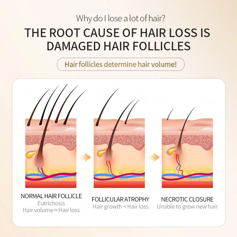 Borala Tattoo Hairline Pigment for Beauty Health Hair Growth Paint Hair Scalp Treatment Anti Loss Products Semi Permanent Tattoo