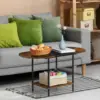 Small Round Coffee Tables for Small Space Farmhouse Oval Coffee Table with 2-Tier Storage Shelf Circle Center Tea Table 6