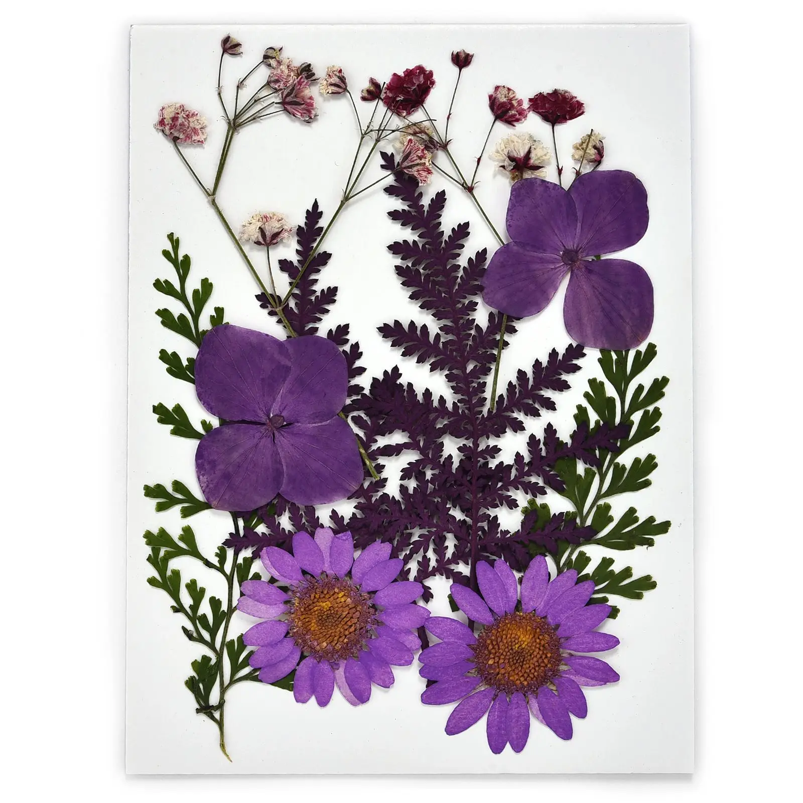 Fiori Secchi 145 Pezzi Per Artigianato - Per Resina, Candele, Nail Art, Decorazione - Foto 7