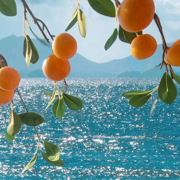 Shop1104484649 Store