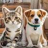 Winter New Customized pet photo pillow personalized pet pad with zipper, suitable for home decoration in all seasons 5
