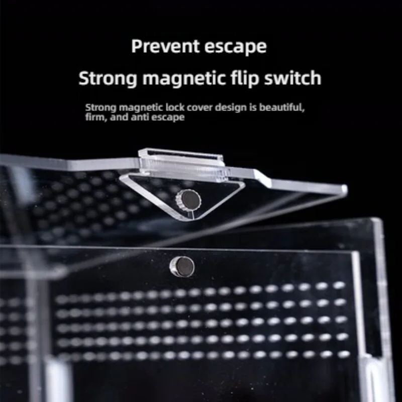 Transparent Acrylic Reptile Terrarium Gecko Lizard Hermit Crabs Assembly-Required Habitat Tank Arboreal Herpetoculture Housing