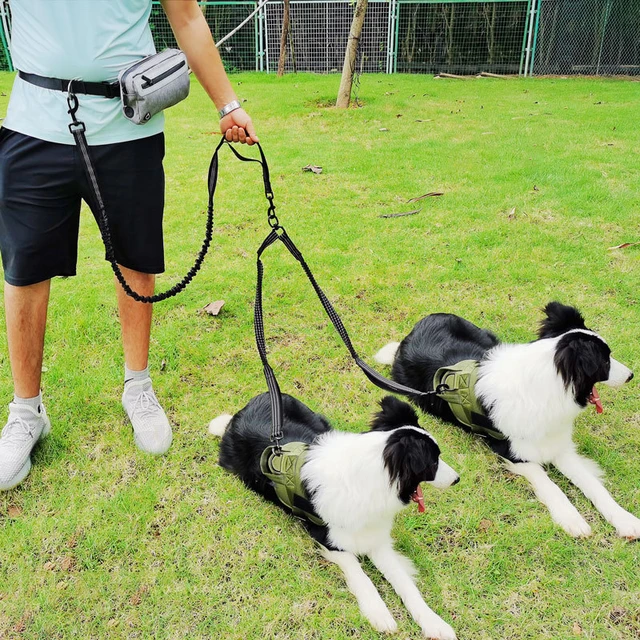 Running with best sale 2 dogs