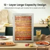 Machine 12 Stainless Steel Trays, 800W Dehydrator for Herbs, 10.9ft² Meat Dehydrator for Jerky,190ºF Temperature 2