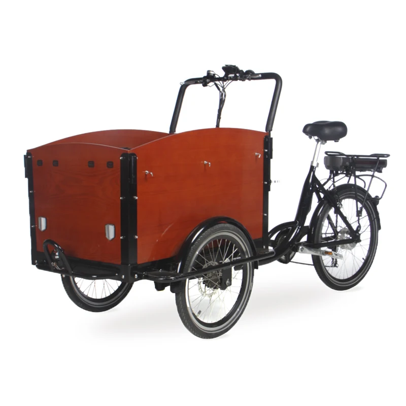 Front Loading Hub 500W Motor Electric Tricycles Electric Bicycle Cargo Bike Bicycle Tuk Tuk With CE Certificate