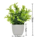 1pc Pine needle