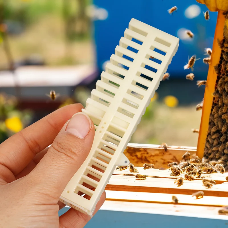 Beekeeping Tools 10/20 Pcs Lengthened Queen Bee Extendible Cage Drawer Multifunction Rearing Anti Escape Catcher