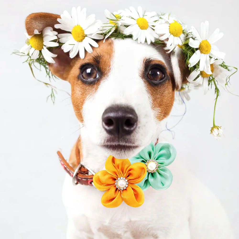 10PCS Flower Pet Dog Cat Bows with Pearl Diomand Movable Puppy Collar Gifts for Small Dog Grooming Accessories Supplies 3
