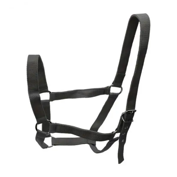 Horse Halter with Padding Durable Rope Training Bridle Adjustable Harness for Farm Grassland and Sports Horse Halter with Padding Durable Rope Training Bridle Adjustable Harness for Farm Grassland and Sports