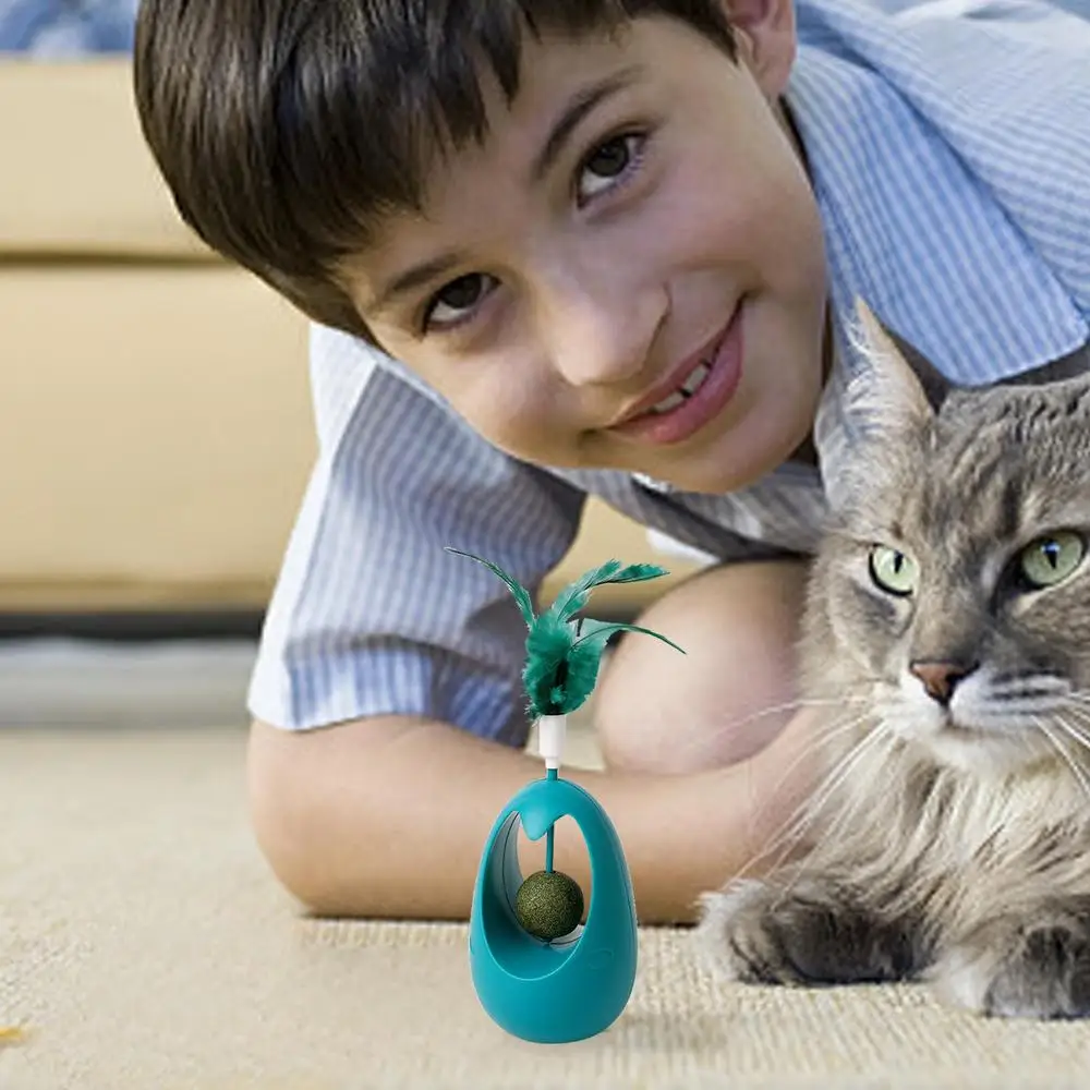 Лучшие интерактивные игрушки для кошек на АлиЭкспресс - сделайте игры с питомцем увлекательными! Лучшие интерактивные игрушки для кошек на АлиЭкспресс - сделайте игры с питомцем увлекательными!