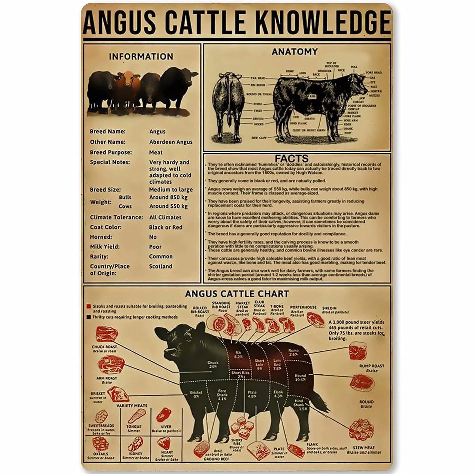 

Veidsuh Angus Cattle Knowledge Metal Signs Printed Knowledge Poster Bar Cafe Decor Home Decor Vintage Wall Decor Club Plaques