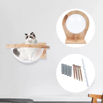 Cat Space Capsule Small Pets Bed Toy Funny Furniture High Quality 2