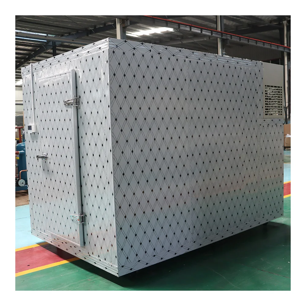 Walk in Chiller Cold Room Solar Powered Cold Store Container Industrial Refrigerator - Image 6