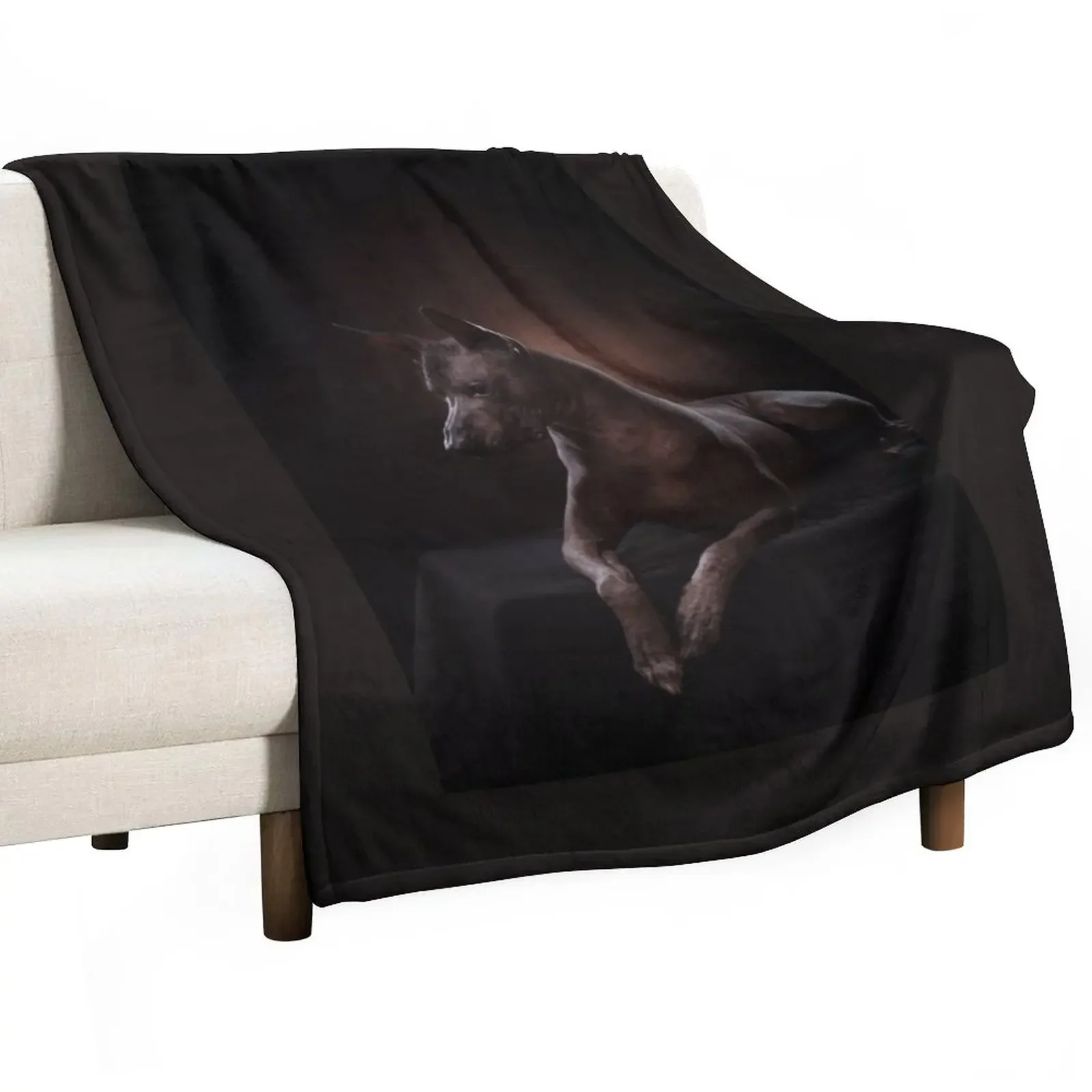 

New Xoloitzcuintle Throw Blanket Soft Plush Plaid Polar Heavy Single Blankets