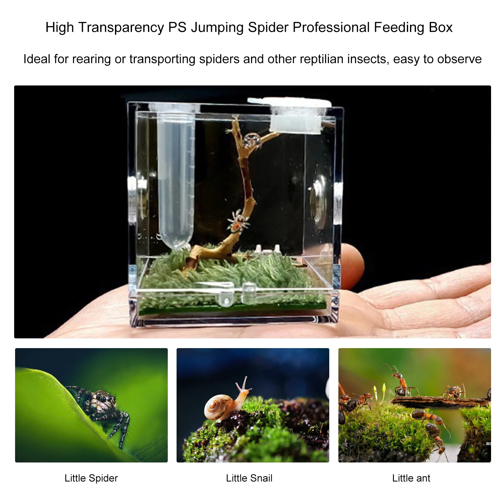 Small-Reptiles-Breeding-Box-Clear-Acrylic-Cage-Habitat-Insect-Feeding-Box-Terrarium-Tank-Escape-Proof-For.jpg