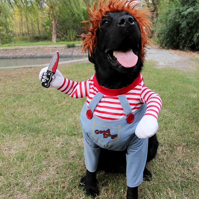 Funny Large Dog Costume