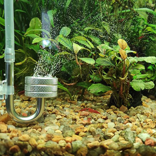 CO2-Generato mit Saugnapf für Wasser pflanzen wachstum Aquarium CO2-Diffusor  Aquarium Blasen zerstäuber Silber - AliExpress