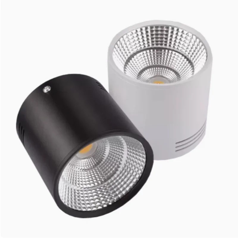 Sleek Surface Mounted Dimmable LED Ceiling Lamp