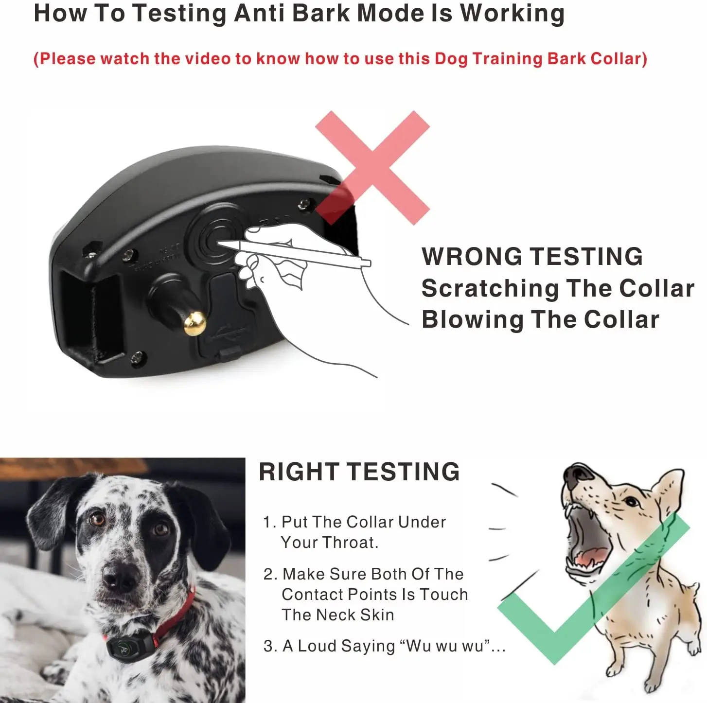 how to put a bark collar on a dog
