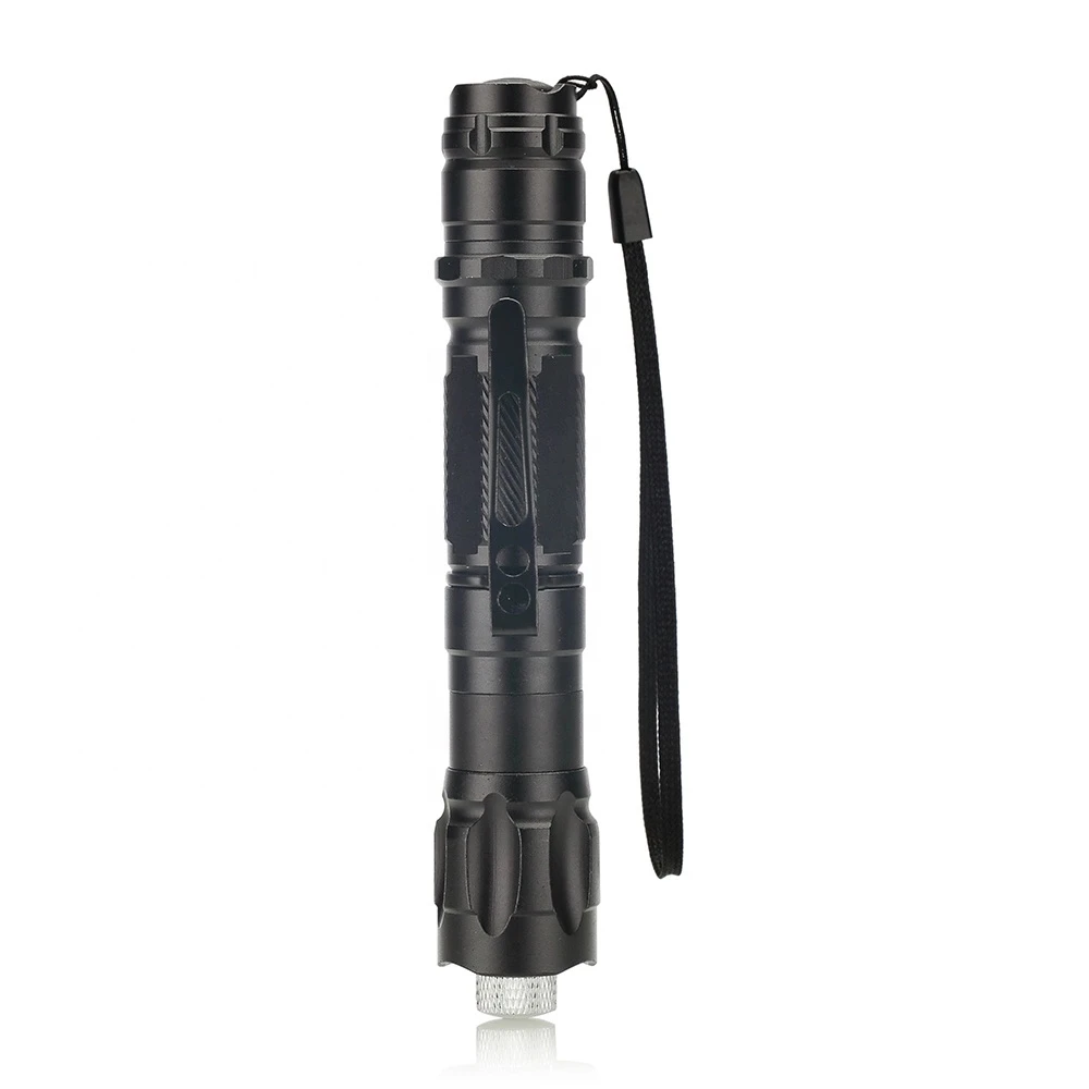 Mini 2 in1Cat Keychain Fun Pointer With battery Light Portable Laser pointer LED Training Torch Pet Cat Tickle Toy Flashlight laser pointer