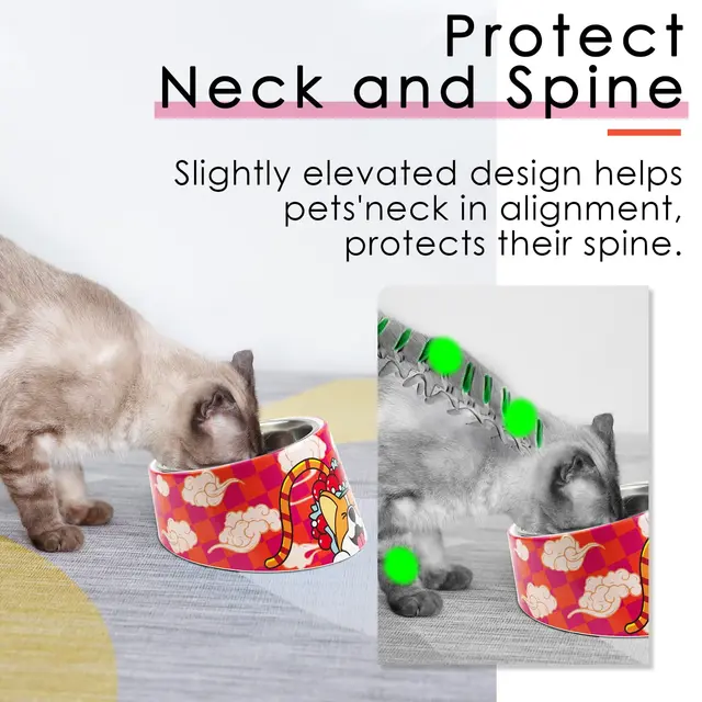Superdesign Anti-Backflow Device 15 ° Tilted Bowl, Suitable for Cats and Dogs - Non-Slip, Anti-Spill Pet Feeder, Anti-Spill Design, 15 ° Slope Allows Easy Access to Food Bowl, Durable Plastic/Bamboo/Structure, 0.5 Cup Capacity, Blue - Suitable for Small Dogs and Elderly Pets 5