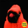 Northern Red Cardinal Plush Toy High Fidelity Red bird Plushie Tit Peluche Lifelike Stuffed Animals Simulation Doll Kawai Toy 6