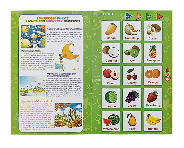 Interaktives Lernbuch Mit Stift Für Kinder Englisch_voghion.com