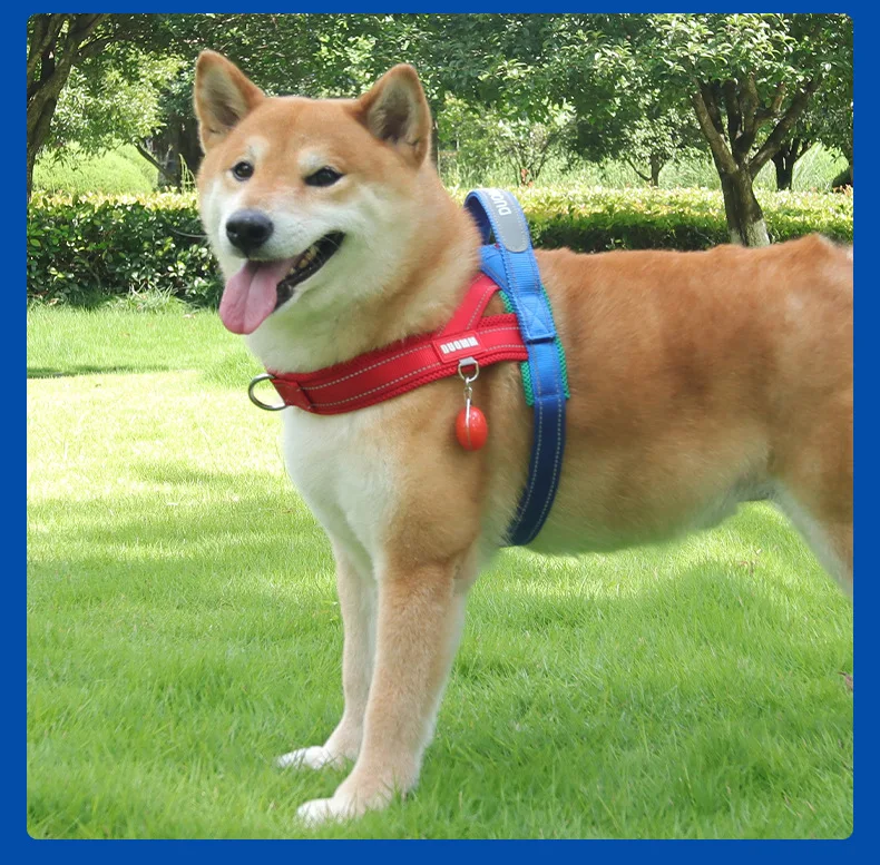 Dog Harness No Pull Reflective Vest For Small And Medium Dogs_voghion.com