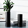 Minimalist style Glass Black/White Flower Arrangement Utensils Home Living Room Art Decoration Straight Tube Hydroponic Vase 1Pc 2